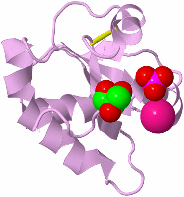 Image Biological Unit 5