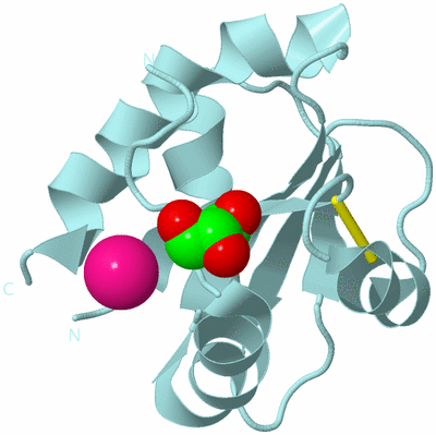 Image Biological Unit 6