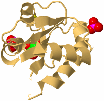 Image Biological Unit 7