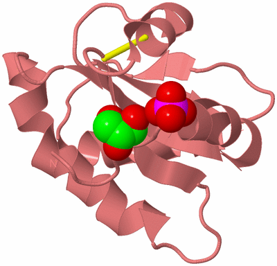 Image Biological Unit 8