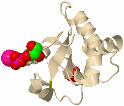 Image Biological Unit 9