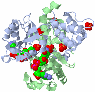 Image Asym./Biol. Unit