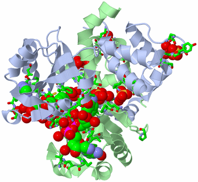 Image Asym./Biol. Unit - sites