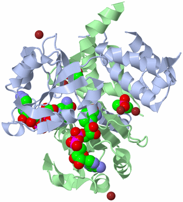 Image Asym./Biol. Unit