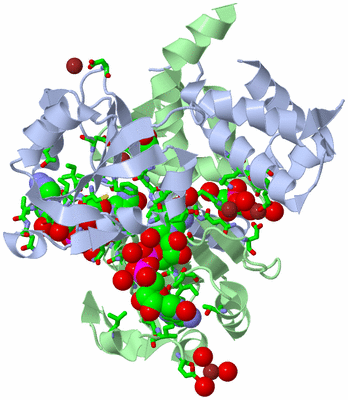 Image Asym./Biol. Unit - sites