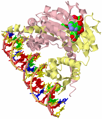 Image Biological Unit 2