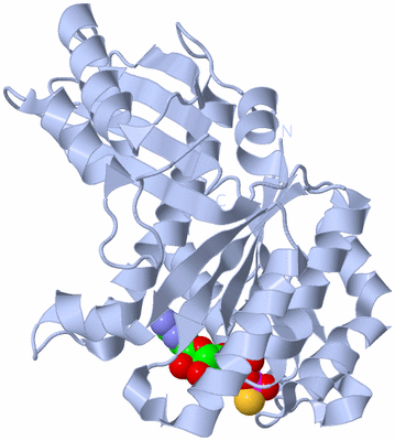 Image Biological Unit 1