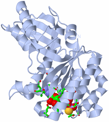 Image Biol. Unit 1 - sites