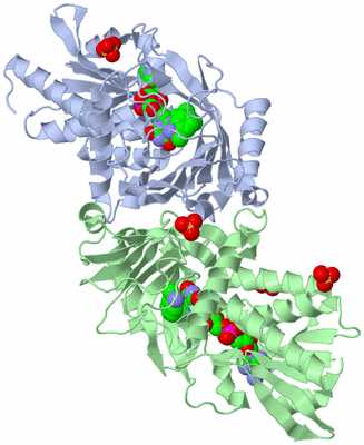 Image Asym./Biol. Unit