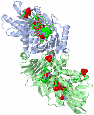 Image Asym./Biol. Unit - sites