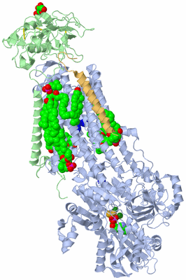 Image Biological Unit 1