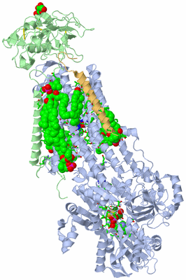 Image Biol. Unit 1 - sites