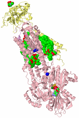 Image Biological Unit 2