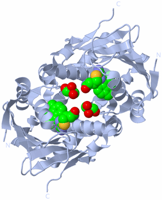 Image Biological Unit 3