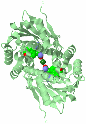 Image Biological Unit 4