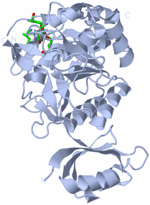 Image Biol. Unit 1 - sites