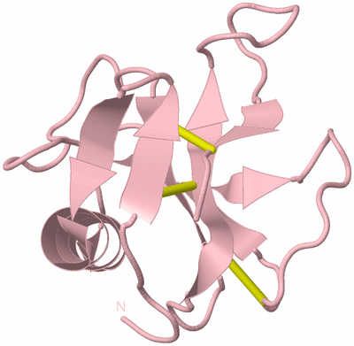 Image Biological Unit 3