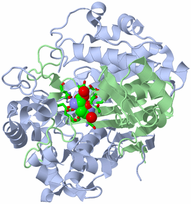 Image Asym./Biol. Unit - sites