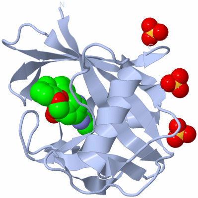 Image Biological Unit 1