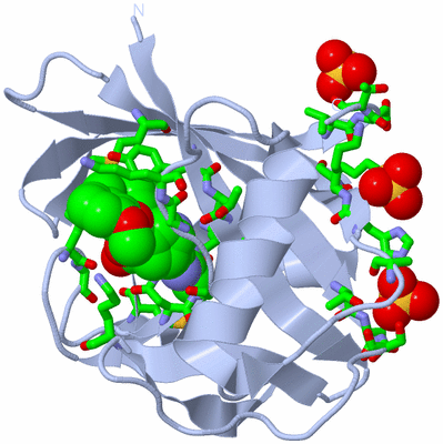 Image Biol. Unit 1 - sites