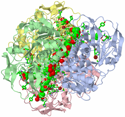 Image Asym./Biol. Unit - sites