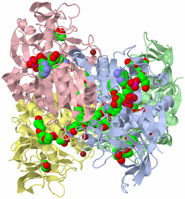 Image Asym./Biol. Unit