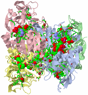 Image Asym./Biol. Unit - sites