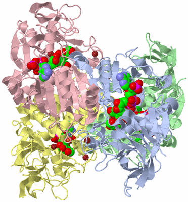 Image Asym./Biol. Unit