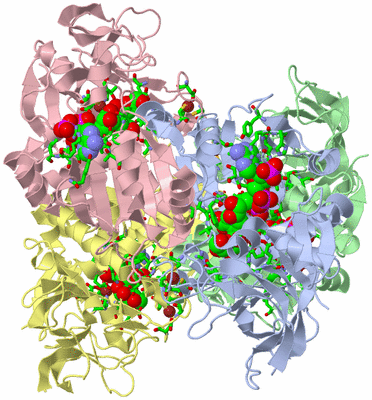 Image Asym./Biol. Unit - sites