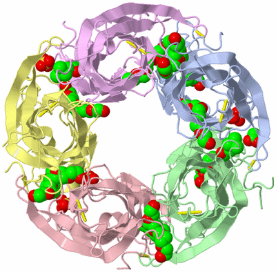 Image Biological Unit 1