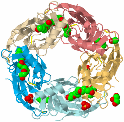 Image Biological Unit 2