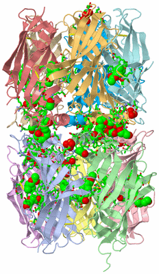 Image Asym. Unit - sites