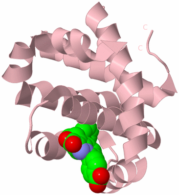 Image Biological Unit 3