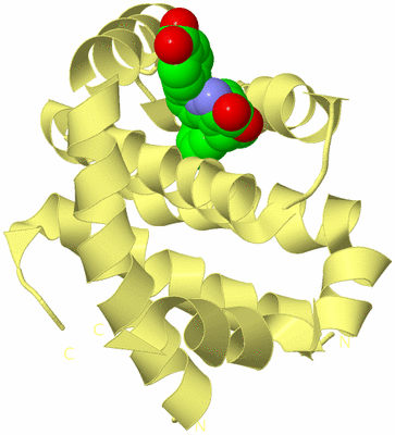 Image Biological Unit 4