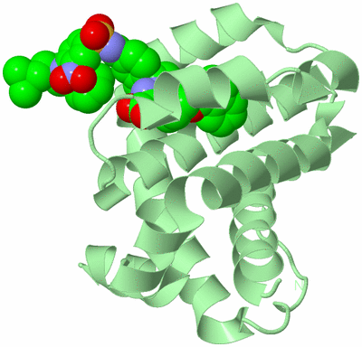 Image Biological Unit 2