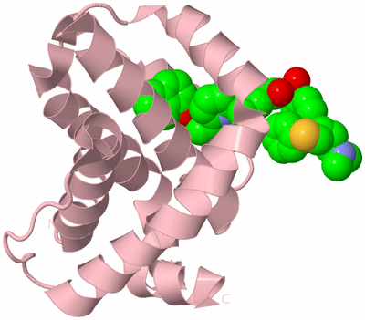 Image Biological Unit 3