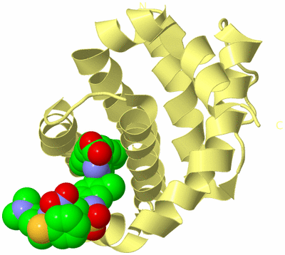 Image Biological Unit 4