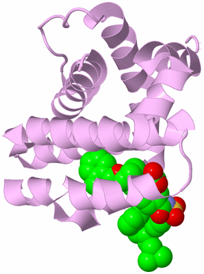 Image Biological Unit 5