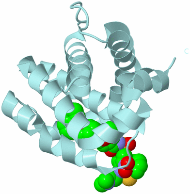 Image Biological Unit 6