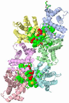 Image Asym. Unit - sites