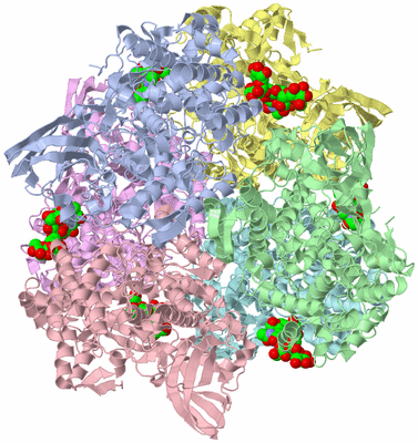 Image Asym./Biol. Unit