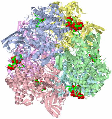 Image Asym./Biol. Unit - sites