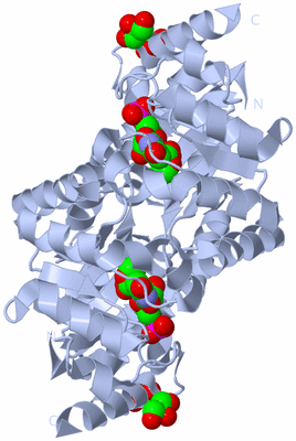 Image Biological Unit 1