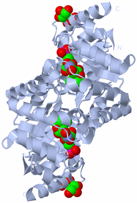 Image Biological Unit 1