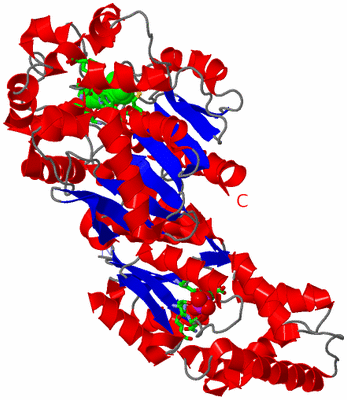 Image Asym. Unit - sites