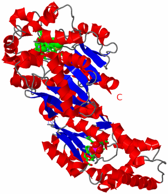 Image Asym. Unit - sites