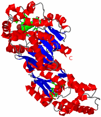 Image Asym. Unit - sites