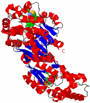 Image Asym. Unit - sites