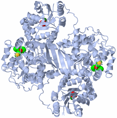 Image Biological Unit 1