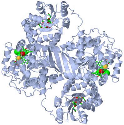 Image Biol. Unit 1 - sites